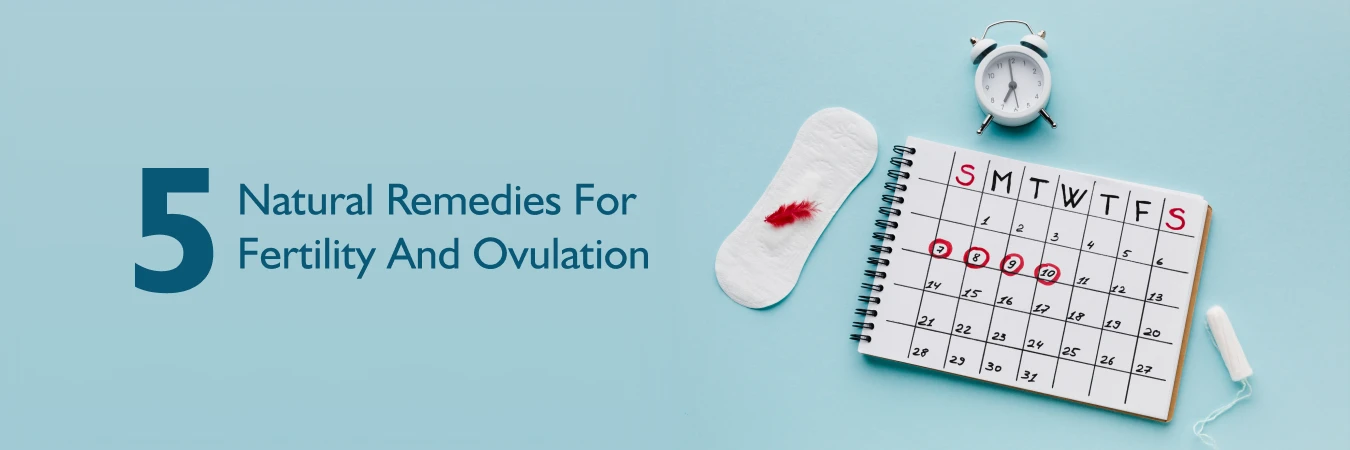 5 Natural Remedies for Fertility and Ovulation