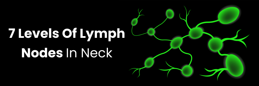 7 Levels Of Lymph Nodes In Neck