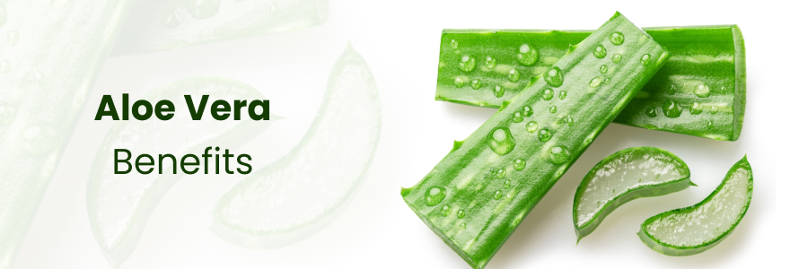 6 Surprising Benefits of Aloe Vera