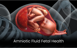 Amniotic Fluid Key Insights on Fetal Health