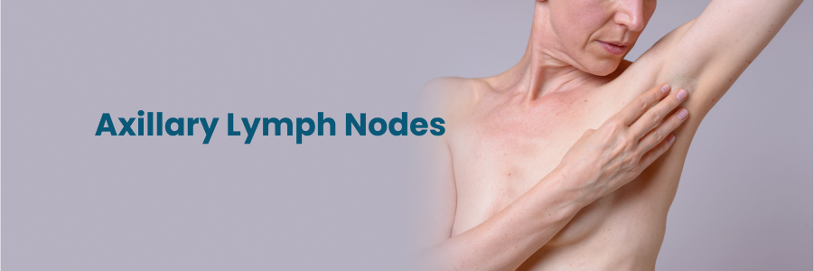 Axillary Lymph Nodes