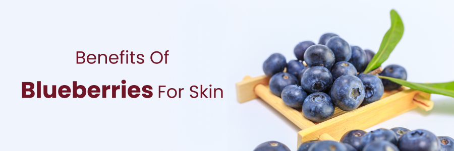 benefits of blueberries for skin