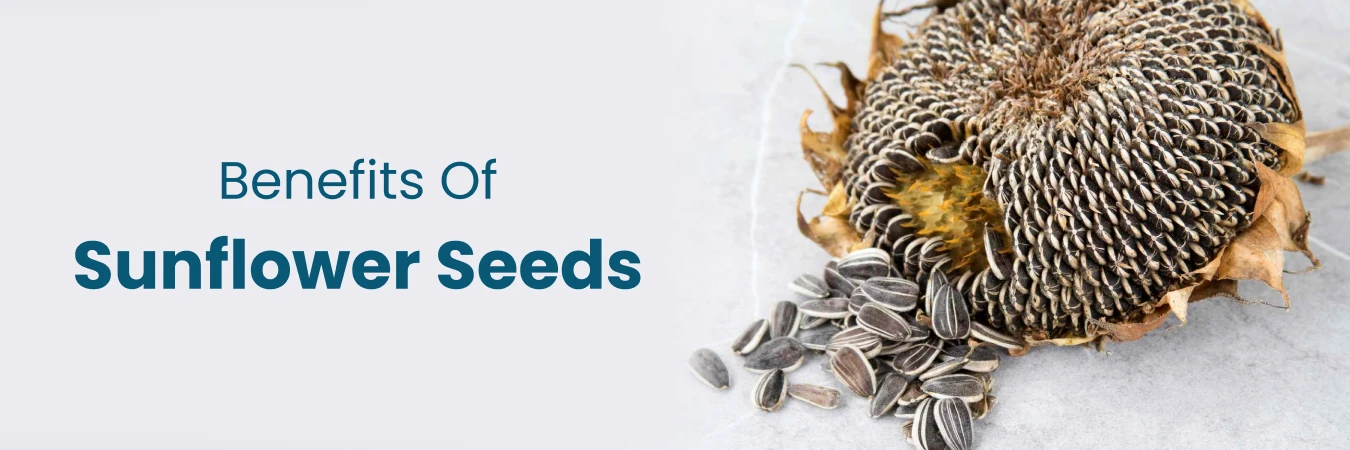 Benefits of Sunflower Seeds