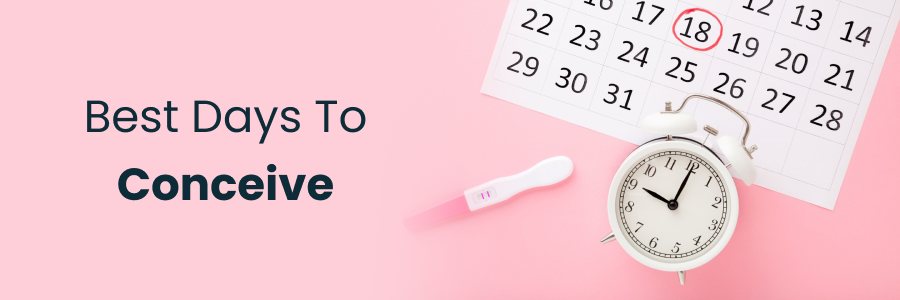 Best Days To Conceive