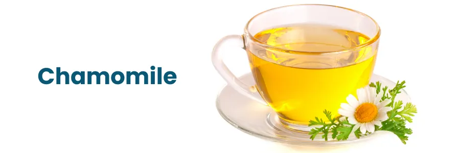 Chamomile Tea for Sleep: Benefits, Uses & Side Effects