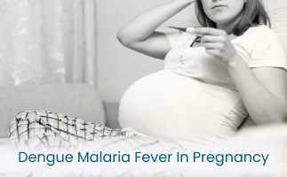 Dengue and Malaria Fever During Pregnancy Risks and Care