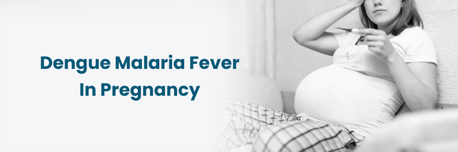 Dengue Malaria Fever In Pregnancy