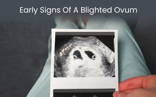 Early Signs of a Blighted Ovum What Women Should Know