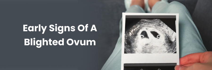 Early Signs Of A Blighted Ovum