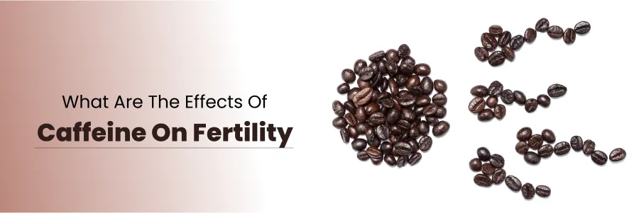 Effects Of Caffeine On Fertility