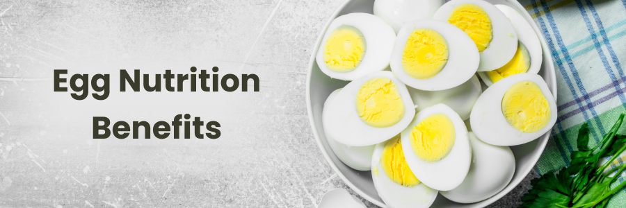 Egg Nutrition Benefits