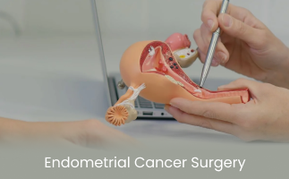 Endometrial Cancer Surgery Types of Treatments