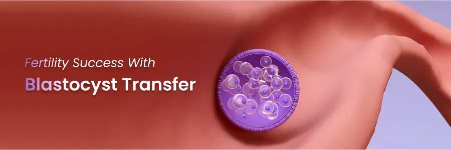 Fertility success with blastocyst transfer