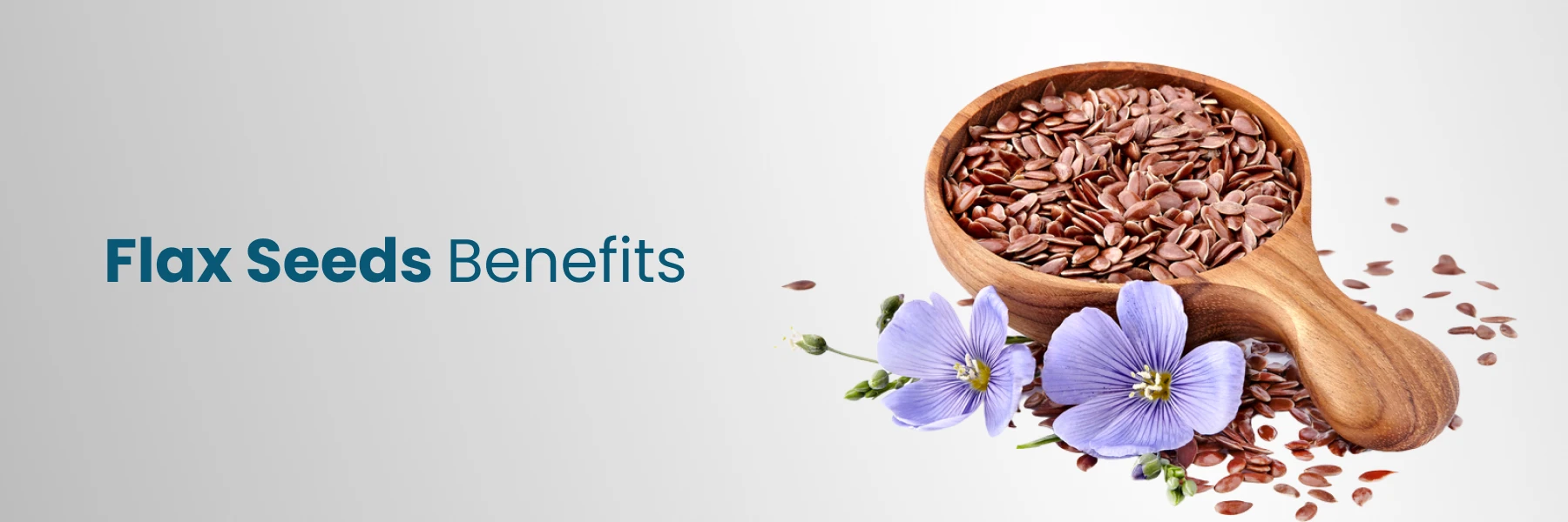 Flax Seeds Benefits