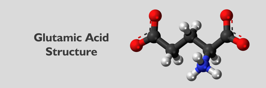 glutamic acid structure