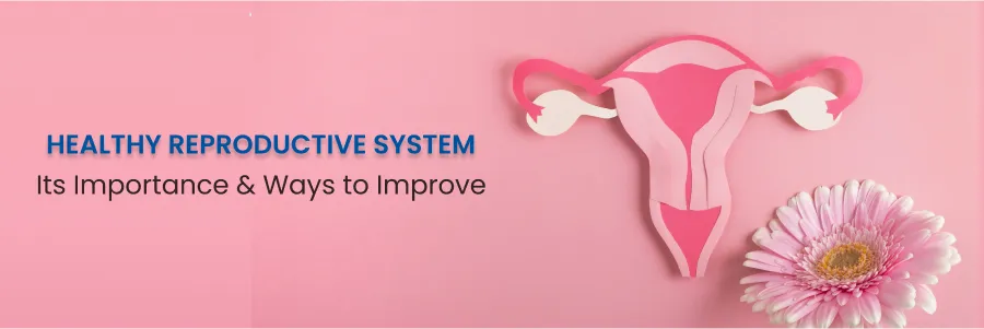 Healthy Reproductive System