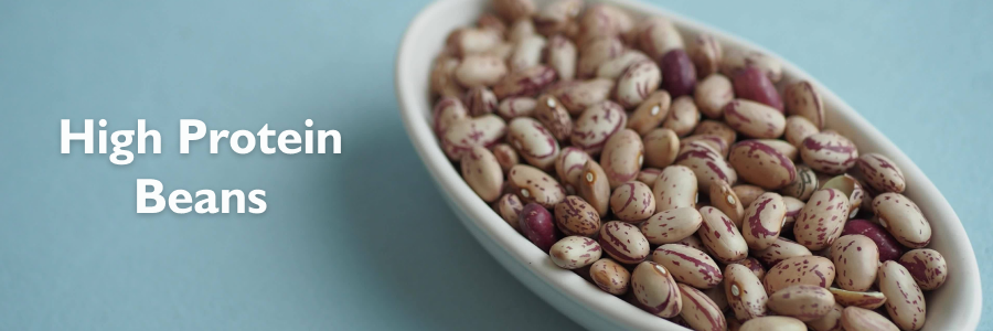 Best High Protein Beans for Your Diet: Top 10 Picks