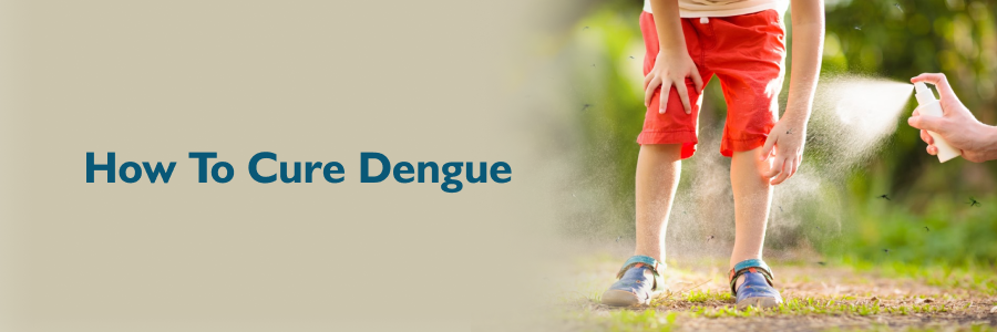 how to cure dengue