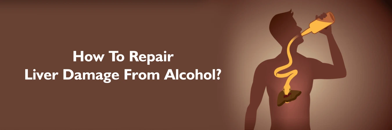 How to repair liver damage from Alcohol