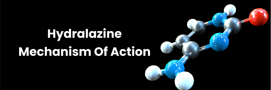 Hydralazine Mechanism Of Action