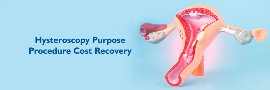 Hysteroscopy Purpose Procedure Cost Recovery