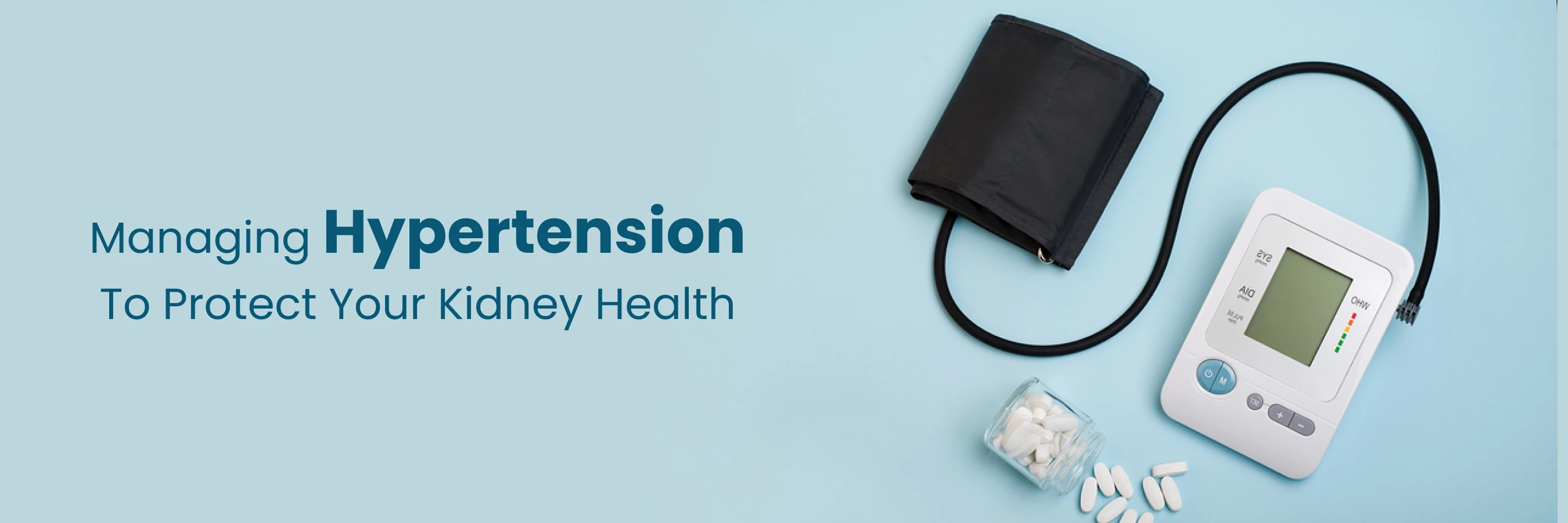 Hypertension on Kidney Function and Healthe
