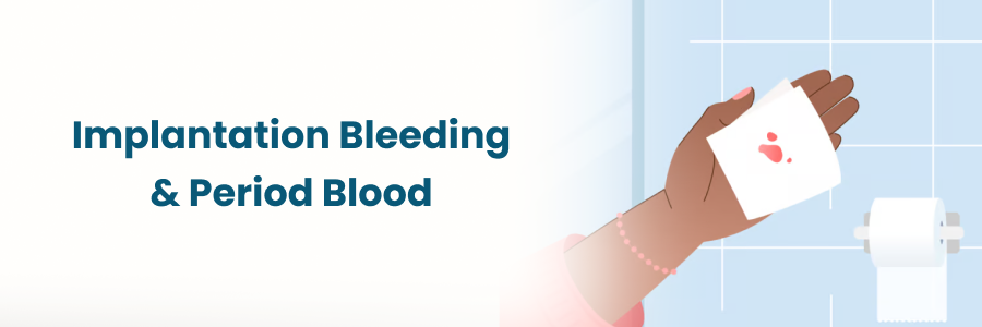 Implantation Bleeding And Period Blood