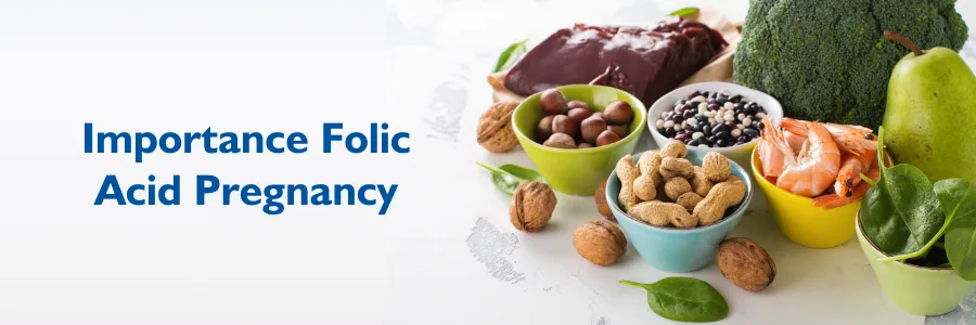 Importance Folic Acid Pregnancy