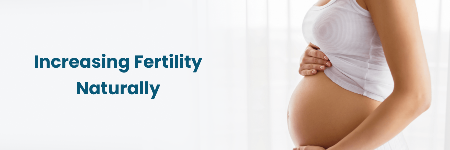 Increasing Fertility Naturally