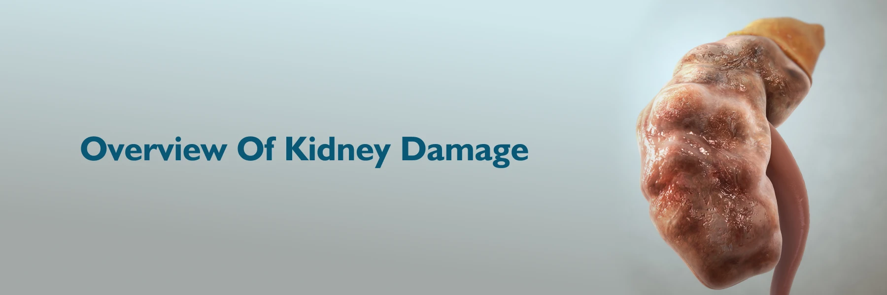 Kidney Damage Symptoms