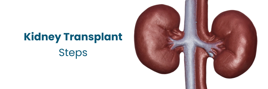 Comprehensive Kidney Transplant Steps & Benefits at Medicover Hospitals