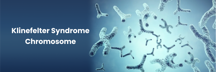 Klinefelter Syndrome Chromosome