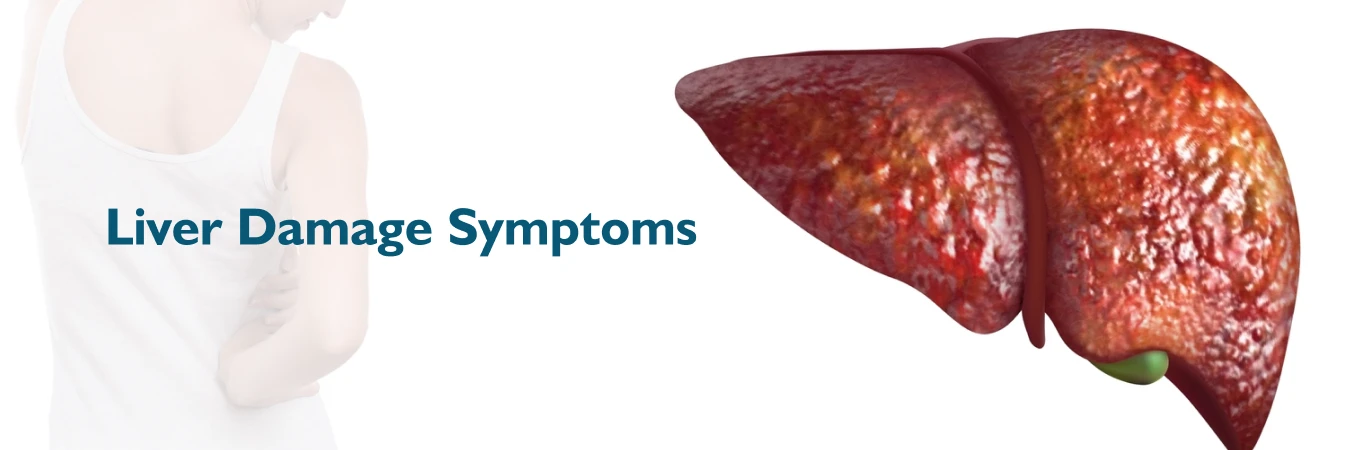 Common Signs of Liver Damage