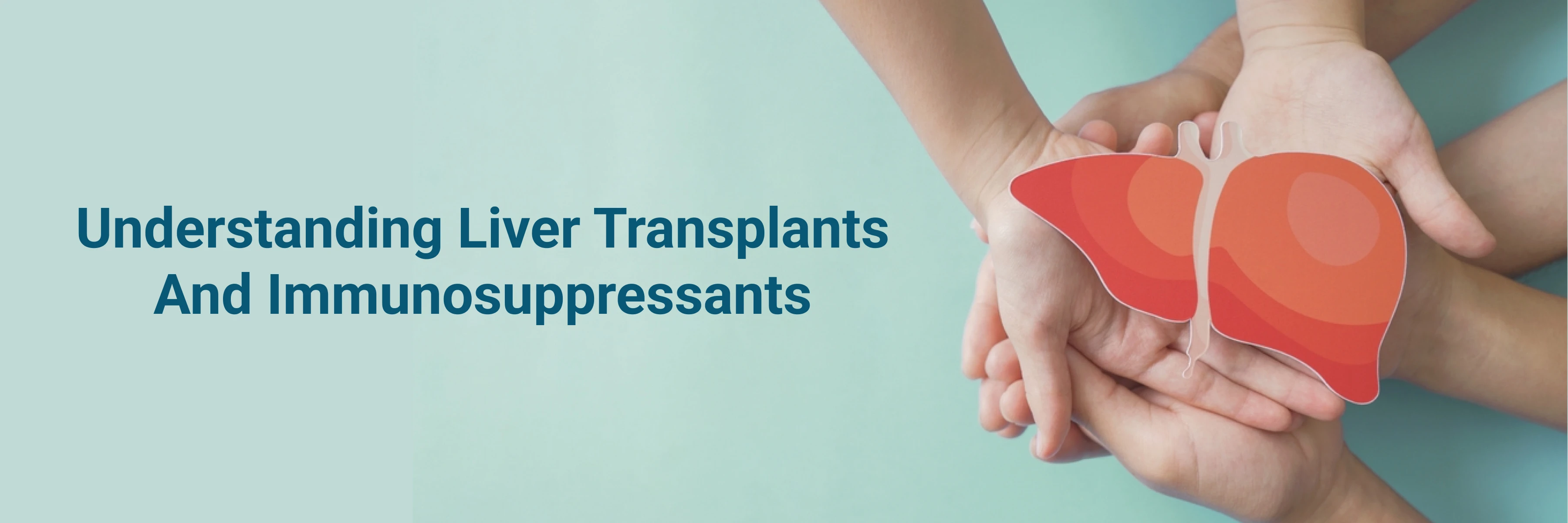 Liver Transplants and Immunosuppressants