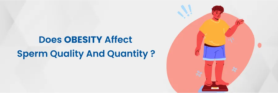 Obesity Sperm Quality