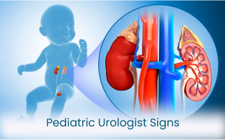 What Does a Visit to a Paediatric Urologist Involve