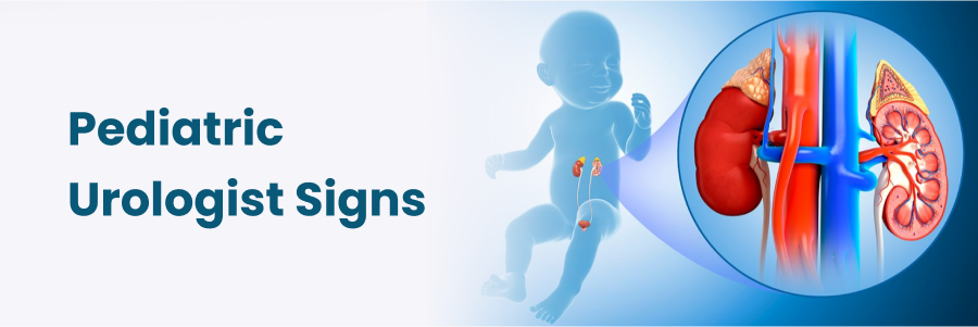 Pediatric Urologist Signs