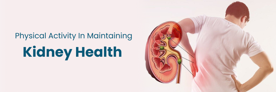 Physical Activity in Maintaining Kidney Health