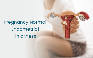 Endometrial Thickness During Pregnancy Key Insights