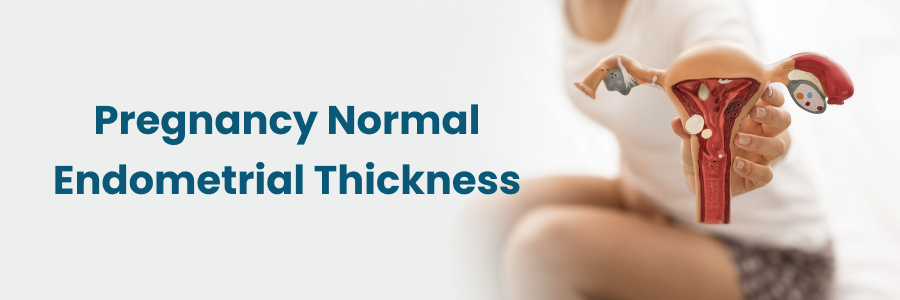 Pregnancy Normal Endometrial Thickness