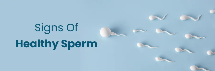 Signs Of Healthy Sperm