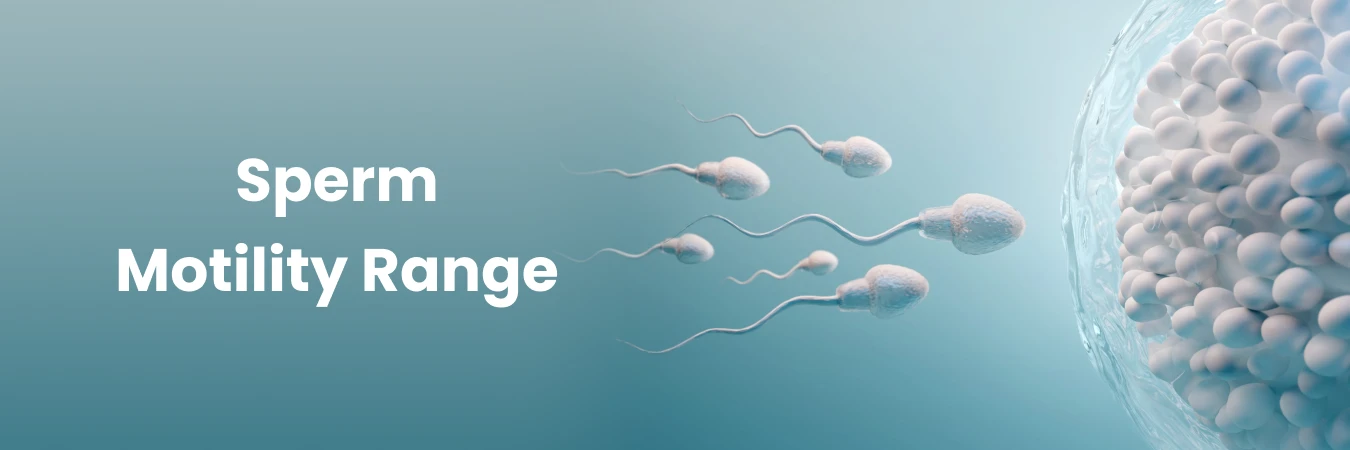 Sperm Motility Range