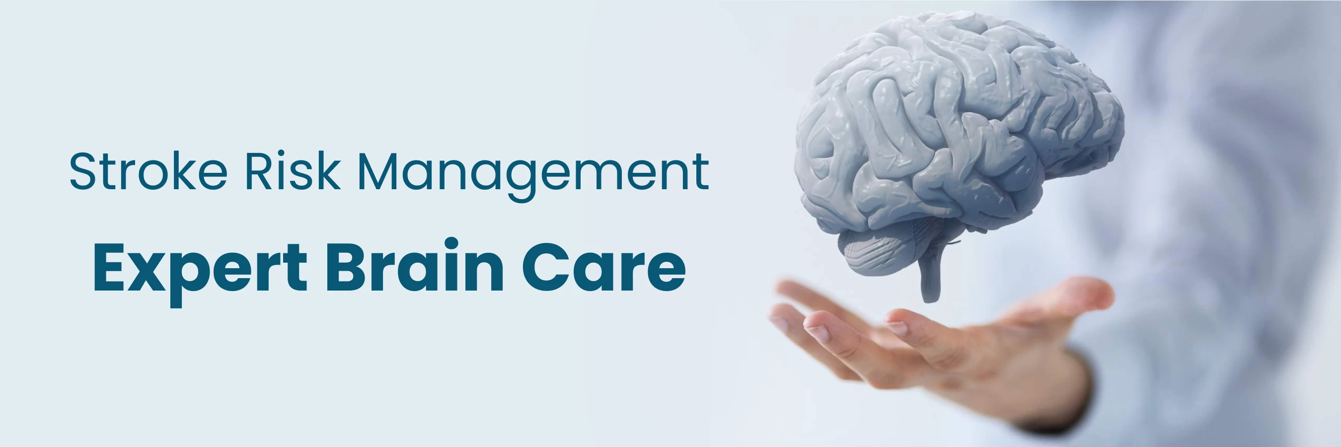 Stroke Risk Management Expert Brain Care Pune