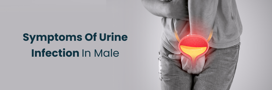 Symptoms Of Urine Infection In Male