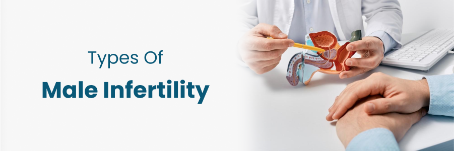 Types Of Male Infertility