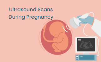 Understand How Ultrasound Scans Benefit for Pregnancy