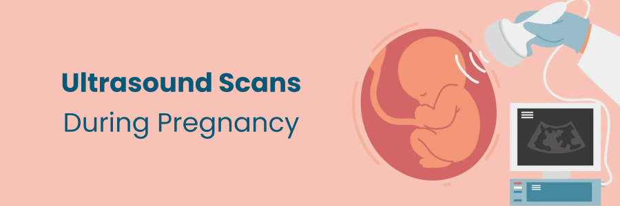 Understand How Ultrasound Scans Benefit for Pregnancy.