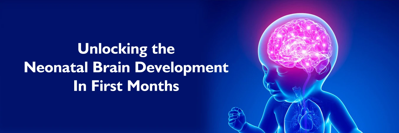 Unlocking the Neonatal Brain Development In First Months