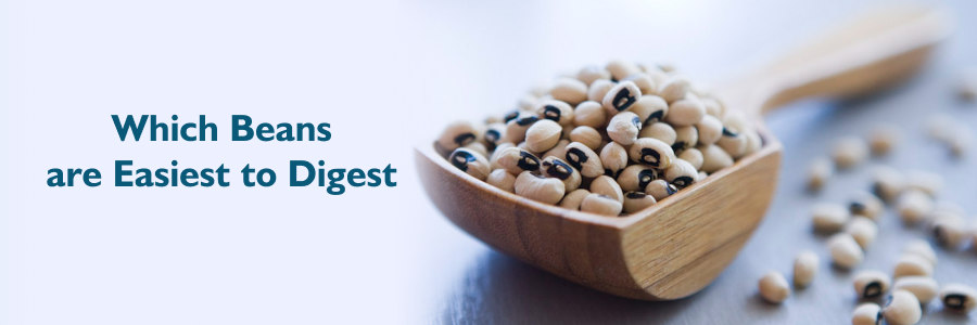 Which Beans are Easiest to Digest