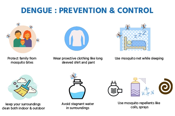 Dengue Preventions.webp
